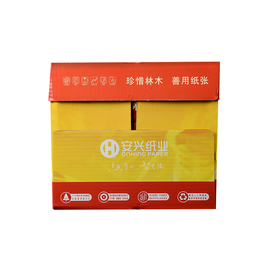传美2010复印纸  A3 80G 500张/包 5包/箱